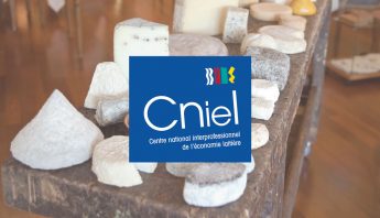 Webinaire : Conjoncture des Produits Laitiers CNIEL - Service du fromage en restaurant
