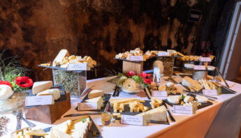 DidierVenom_230327 1W5A5375_Object Removal