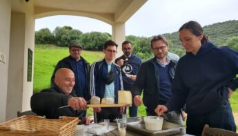 Fromages Corses 2025 5