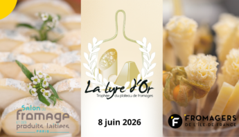 Bannière web Lyre dor 2026
