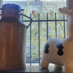 Vente MATERIEL et EQUIPEMENT – Idéal création ou reprise de fromagerie