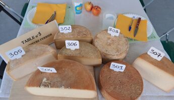 18 médailles pour le 18ème Concours de la Tomme des Pyrénées au lait cru concours Tomme Pyrénées sept 26 2